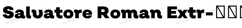 Salvatore Roman Extr字体转换 Salvatore Roman Extr字体转换